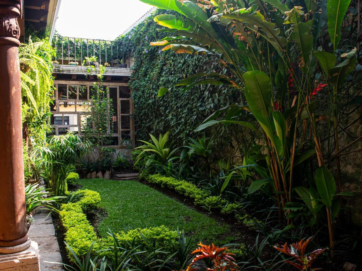 Naif Boutique Hotel Antigua Zewnętrze zdjęcie