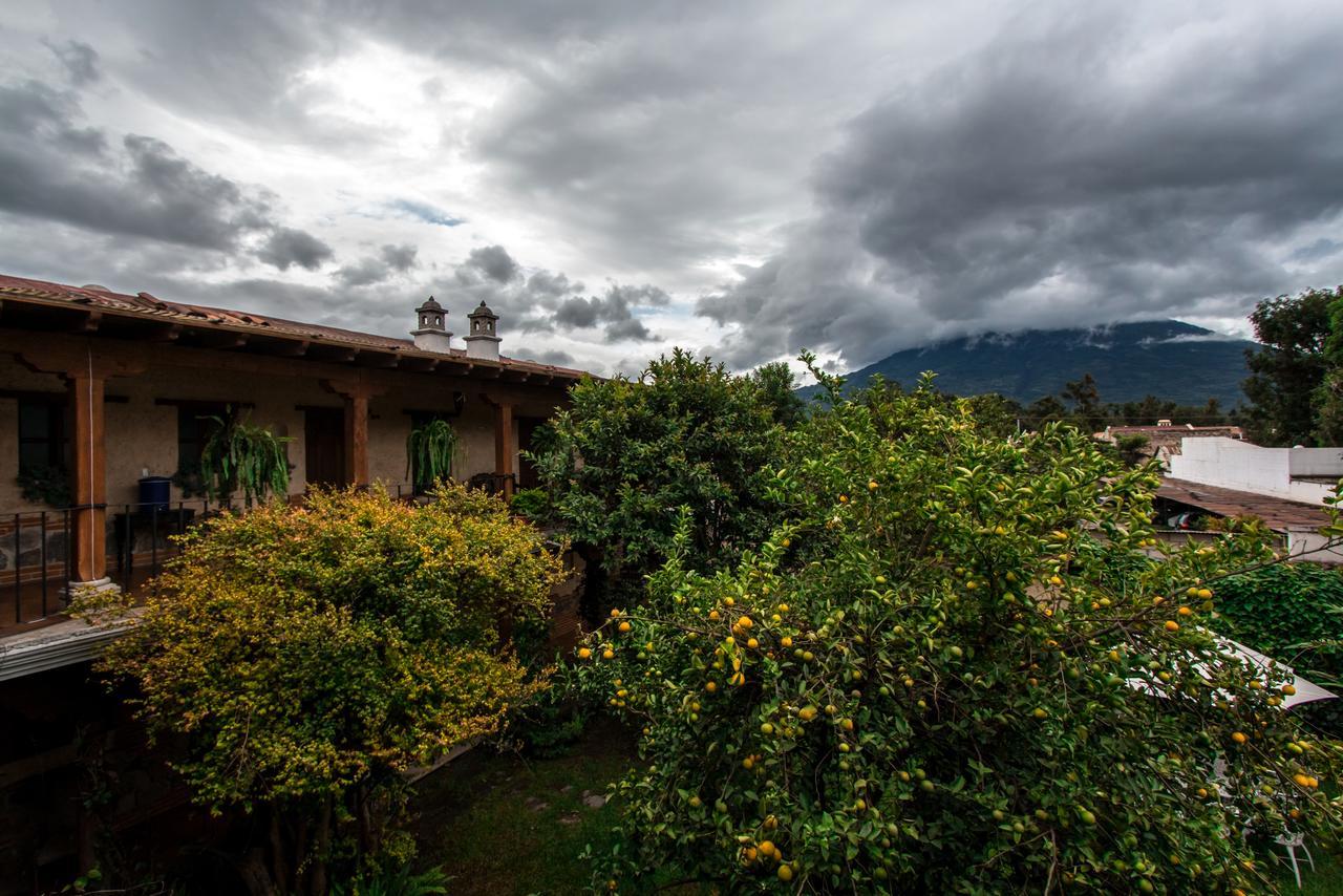 Naif Boutique Hotel Antigua Zewnętrze zdjęcie